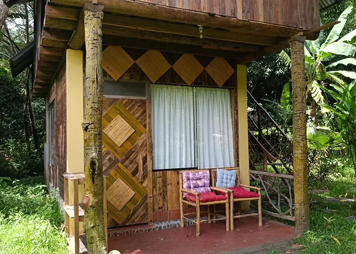 Bella Victoria Coffee And Chocolate Experience Camping *