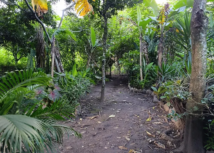 Bella Victoria Coffee And Chocolate Experience Camping *