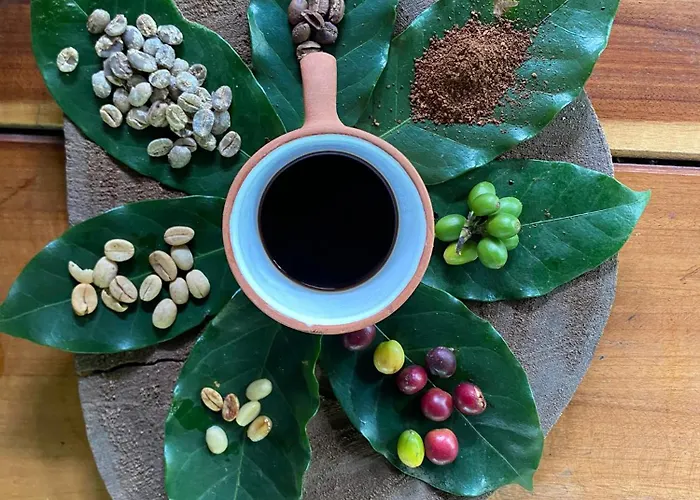 Bella Victoria Coffee And Chocolate Experience Camping Santa Maria (Cusco)